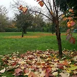 R&b Albero Cavo Bed and Breakfast