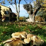 R&b Albero Cavo Bed and Breakfast Πάρμα