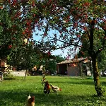 R&b Albero Cavo Bed and Breakfast Πάρμα