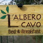 R&b Albero Cavo Πάρμα
