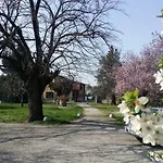 R&b Albero Cavo Πάρμα