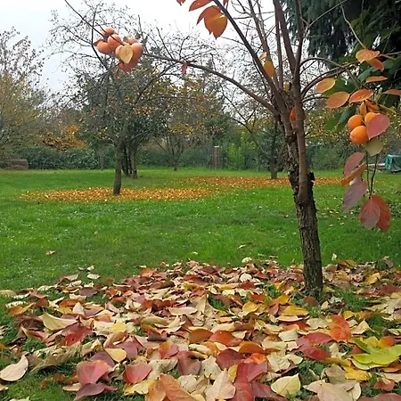 R&b Albero Cavo Bed & Breakfast 3*