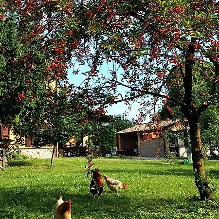 Bed & Breakfast R&b Albero Cavo