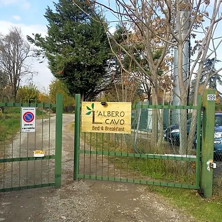 R&b Albero Cavo Bed & Breakfast Parma