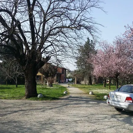 R&b Albero Cavo 3* Parma