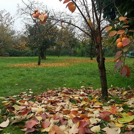 R&b Albero Cavo Bed and Breakfast