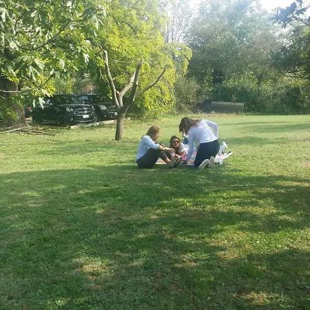 R&b Albero Cavo Parma