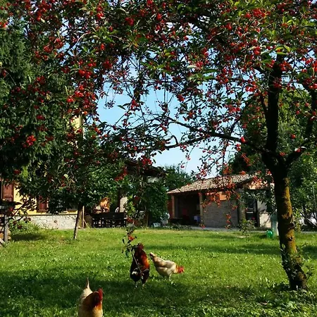 R&b Albero Cavo Nocleg ze śniadaniem Parma