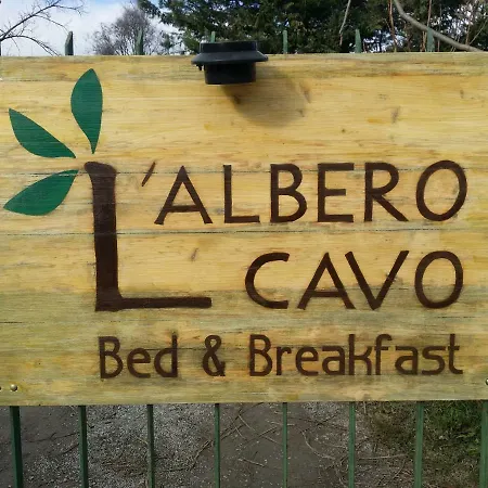 R&b Albero Cavo פארמה
