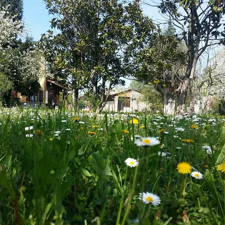 R&b Albero Cavo Bed and Breakfast 3*