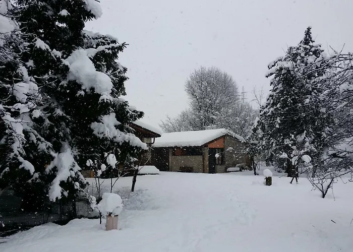 R&b Albero Cavo Парма