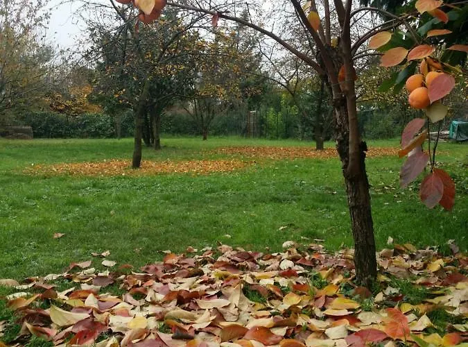 R&b Albero Cavo Bed & Breakfast