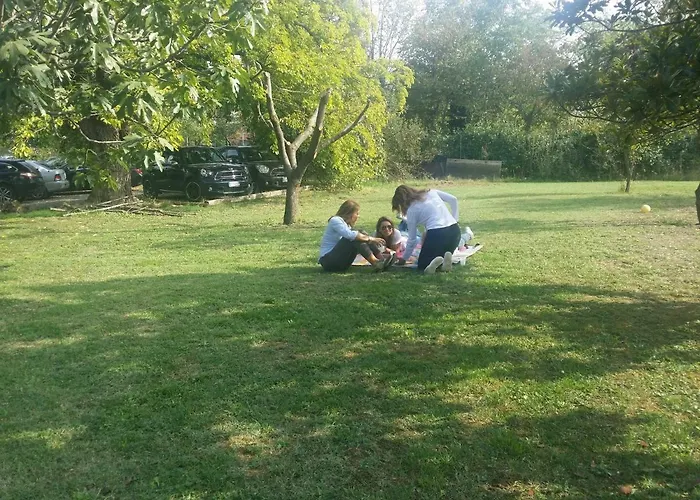 R&b Albero Cavo Парма