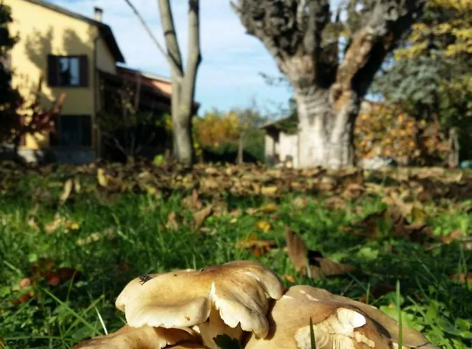 R&b Albero Cavo Отель типа 