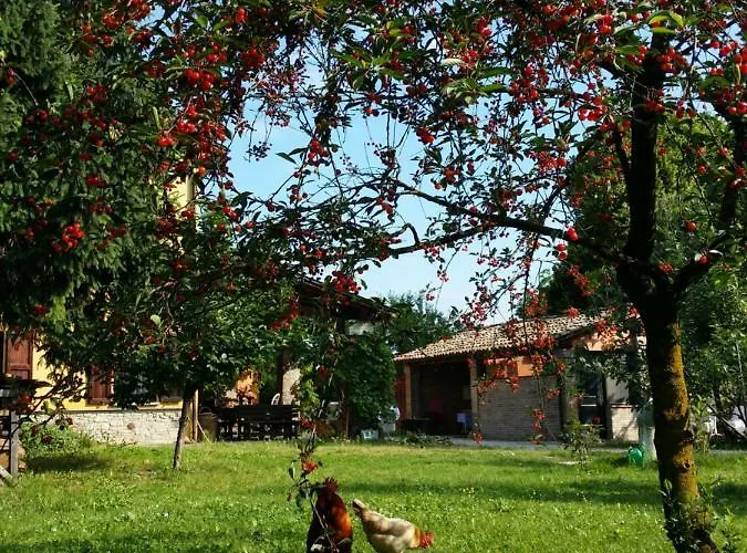 R&b Albero Cavo Отель типа 