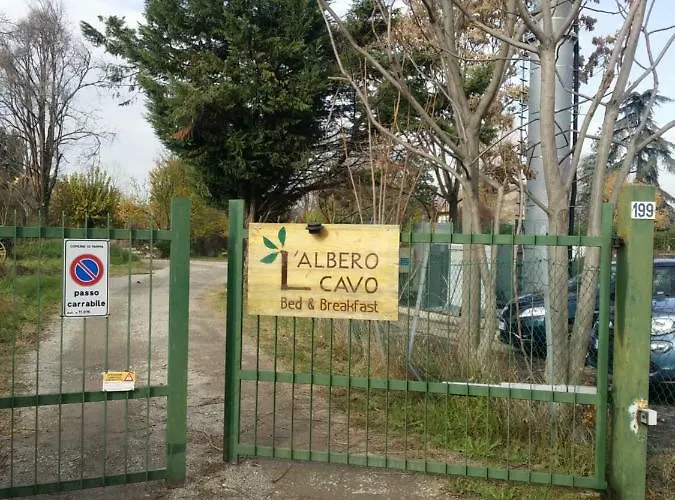 R&b Albero Cavo Парма