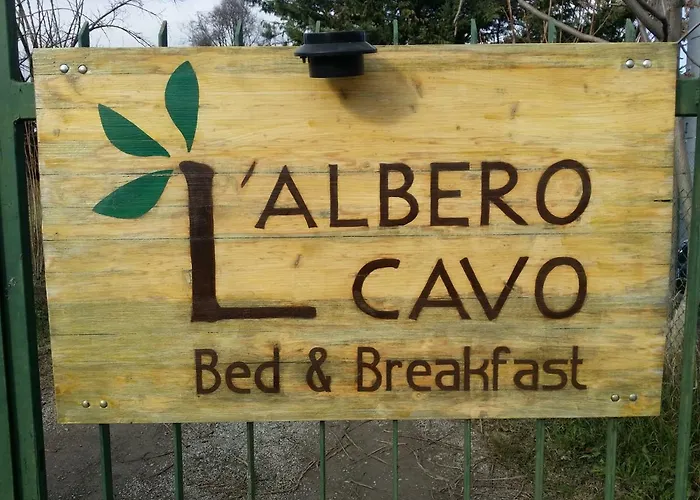 R&b Albero Cavo Парма