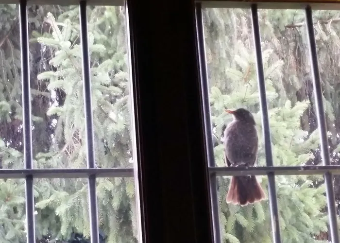 Bed & Breakfast R&b Albero Cavo Parma