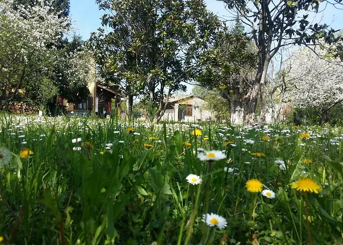 R&b Albero Cavo Bed & Breakfast 3*