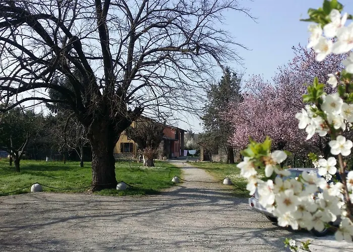 R&b Albero Cavo Parma